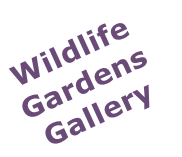 Wildlife 
Gardens
Gallery
